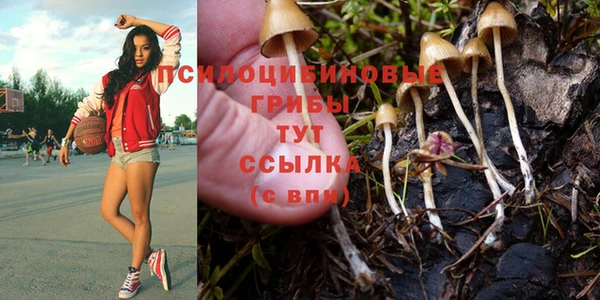 гидропоника Богданович