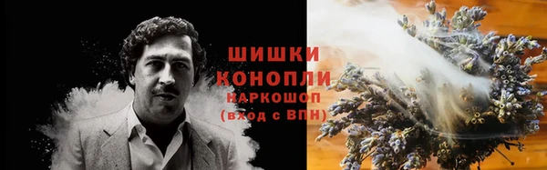 МДПВ Богородицк
