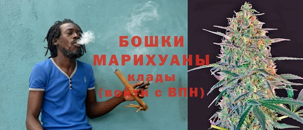 амф Дубна