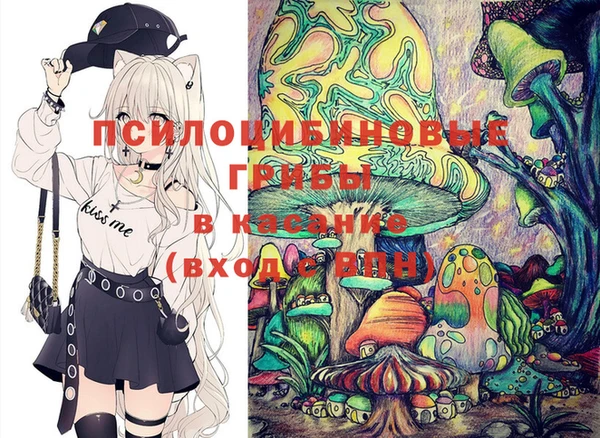гидропоника Богданович