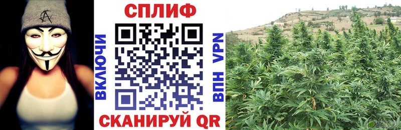 МАРИХУАНА планчик  Наро-Фоминск 